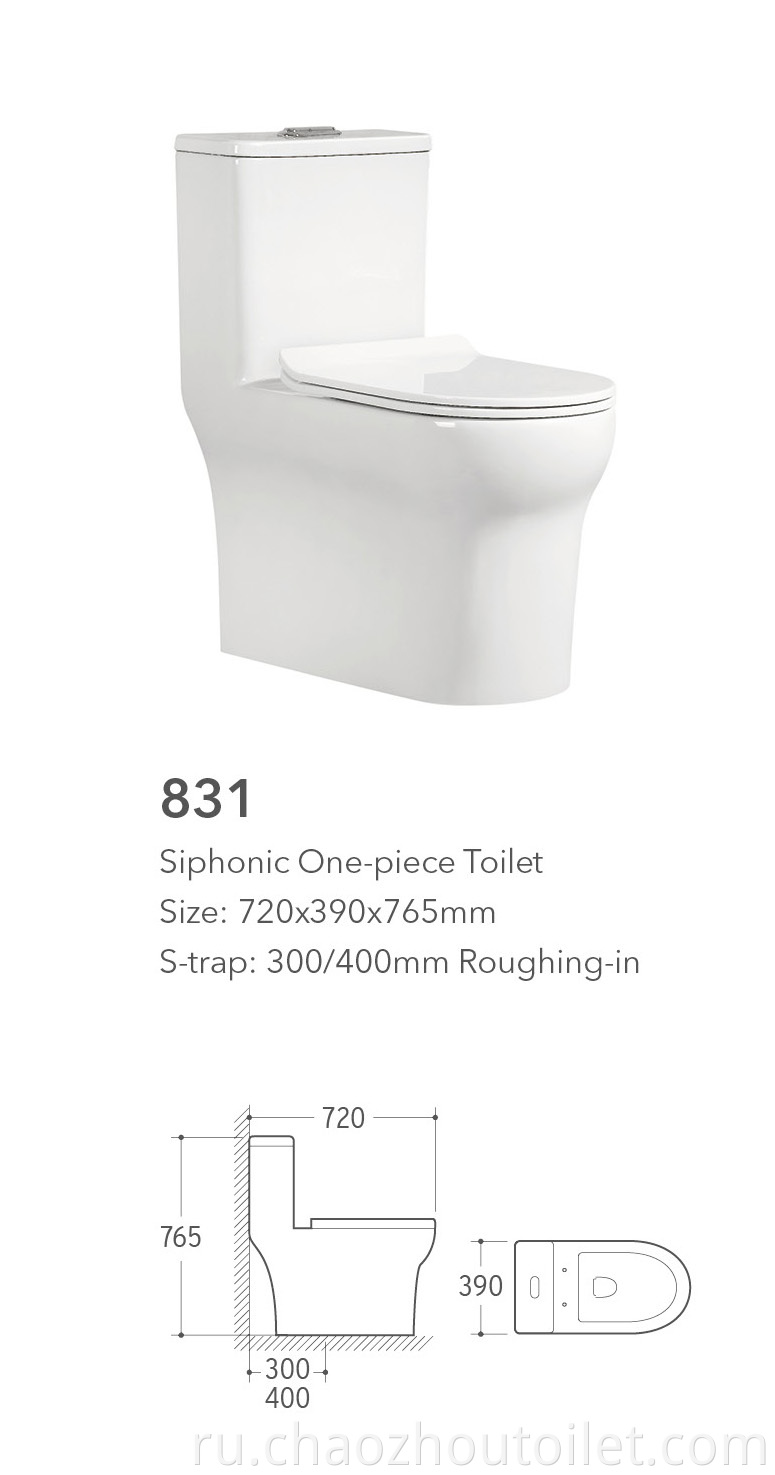 831 One Piece Toilet